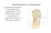Introduction to abdoman.ppt - gmch.gov.in lectures/Anatomy/Introduction to abdoman.pdf · Applied anatomy of Rectus sheath Diverication of recti Epigastric hernia Planning of incision