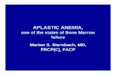 one of the states of Bone Marrow failure Marion S ... · APLASTIC ANEMIA, one of the states of Bone Marrow failure Marion S. Sternbach, MD, FRCP(C), FACP