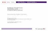 Enteric Protozoa: Giardia and Cryptosporidiumvirox.com/.../pdf/msds/EntericProtozoaGiardiaandCryptosporidium.pdf · Enteric Protozoa: Giardia and Cryptosporidium Document for Public