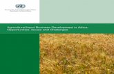 Agricultural Input Business Development in Africa ... · Agricultural Input Business Development in Africa: Opportunities, Issues and Challenges Economic Commission for Africa (ECA)