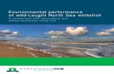 animal husbandry using LCA - cornelisvrolijk.eu · Environmental performance of wild-caught North Sea whitefish . A comparison with aquaculture and animal husbandry using LCA . S.W.K.
