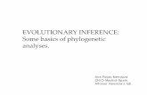 EVOLUTIONARY INFERENCE: Some basics of phylogenetic … · EVOLUTIONARY INFERENCE: Some basics of phylogenetic analyses. Ana Rojas Mendoza CNIO-Madrid-Spain. Alfonso Valencia’s