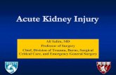 Acute Kidney Injury - seton.net · 50% - 70% in severe AKI requiring RRT ... Can diagnose AKI earlier May provide information regarding etiology Cystatin C is used in some hospitals