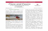 OHIO STATE UNIVERSITY EXTENSION Flora and Fauna · Flora and Fauna The Mahoning County ANR Volunteer Newsletter Ohio State University Extension – Mahoning County 490 South Broad