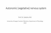 Autonomic (vegetative) nervous system · Autonomic (vegetative) nervous system Prof. Dr. Szabolcs Kéri University of Szeged, Faculty of Medicine, Department of Physiology 2018
