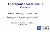 Therapeutic Vaccines in Cancere-syllabus.gotoper.com/_media/_pdf/ITT12_Day1_10_Odunsi_TherapeuticVac... · Sato et al, PNAS. 2005, 102:18538 Efficacy of vaccination with recombinant