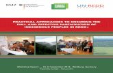 PRACTICAL APPROACHES TO ENSURING THE FULL AND … · UN-REDD PROGRAMME PRACTICAL APPROACHES TO ENSURING THE FULL AND EFFECTIVE PARTICIPATION OF INDIGENOUS PEOPLES IN REDD+ Workshop