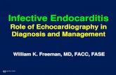 Infective Endocarditis - asecho.org · Major Duke Criteria Positive blood cultures Evidence of endocardial involvement Durack DT, et al. Am J Med 1994; 96: 200 . ... (Osler’s nodes,