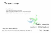 Taxonomy - LTH · Taxonomy Taxon = group nomy ≈ distribution Taxa = groups You will learn: Why is taxonomy important Methods for identification of microorganisms