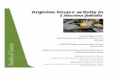 Arginine kinase activity in Littorina fabalis · Abstract Littorina fabalis, a snail living in the intertidal zone of much of northeastern European shores, has been found to differ