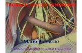 Mario Bonaccio - formation.swisshandsurgery.ch 3 Final_04.pdf · Cervical Rotation Lateral Flexion Test . THORACIC OUTLET SYNDROME Klinik Adson-Test : Scalenus-Test Arm zur Seite