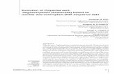Evolution of Polyscias sect. Tieghemopanax (Araliaceae ...sciencepress.mnhn.fr/sites/default/files/articles/pdf/a2001n1a2.pdf · 23 Jonathan M. EIBL Department of Biology, Virginia