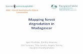 Mapping forest degradation in Madagascar · 04.02.2016 · • Simple GIS training (QGIS,GPS ‐using) How to measure the level of forest intactness / degradation? from Ground . How