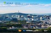 2019 WORLD LNG REPORT - igu.org · 4 5 IGU World LNG report - 2019 Edition State of the LNG Industry 1 The scope of this report is limited only to international LNG trade, excluding