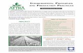 AGRONOMY SYSTEMS GUIDE - el.doccentre.infoel.doccentre.info/eldoc1/k33_/intercropping-principles.pdf · ATTRA is the national sustainable agriculture information service operated