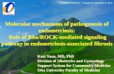 Molecular mechanisms of pathogenesis of endometriosis ... · Molecular mechanisms of pathogenesis of endometriosis: Role of Rho/ROCK-mediated signaling pathway in endometriosis-associated