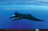 Population Structure and Conservation of Oceanic Manta ... · Population Structure and Conservation of Oceanic Manta Rays in the Indo-Pacific A Scripps Institution of Oceanography