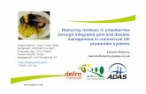 Reducing residues in strawberries through integrated pest ... · Reducing residues in strawberries through integrated pest and disease management in commercial UK production systems