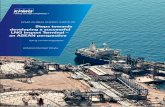 Steps towards developing a successful LNG Import Terminal ... · LNG Import Terminal Project Delivery 'Getting it Right' The appropriate delivery strategy will drive project commercial