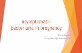 Asymptomatic bacteriuria in pregnancy - nvmm.nl · What is ASB? ASB = ASymptomatic Bacteriuria Presence of bacteria in urine without complaints of UTI Cutoff ≥ 10e5 colony forming