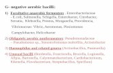 G- negative aerobic bacilli - uniba.sk · G- negative aerobic bacilli: 1) Facultative anaerobic fermenters. Enterobacteriaceae - E.coli, Salmonella, Schigella, Enterobacter, Citrobacter,