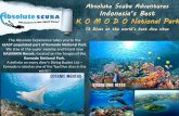 scubaindia.inscubaindia.in/pdf/Komodo.pdfAbsolute Scuba Adventures Indonesia's Best K O O D O National Park 73 Dives at the world's best dive sites bsoIutescuBA Adventures in the Liquid