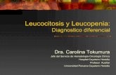 Diagnostico diferencial - SPHsph-peru.org/wp-content/uploads/2016/01/2015-Leucocitosis-y-leucopenia.pdf · Leucocitosis y leucopenia Son las alteraciones más frecuentes, encontradas