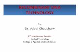 RECOMBINANT DNA TECHNOLOGY - chaudhary.kau.edu.sa Recombinant... · representing a genetic code is involved in proteins synthesis. • i.e ... chain Insulin protein and colonies with