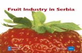 Fruit Industry in Serbia - usz.gov.rs · (as of 29th of April 2005) 21.377 billion USD 2.813 USD Central European time zone (GMT + 01:00).yu. 3 Southeastern Europe is the region with