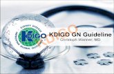 KDIGO GN Guideline · KidneyDisease:’Improving’Global’Outcomes’ Kidney International Supplements 2012; 2:163–171 Guidelines on Glomerulonephritis: Background, overview and