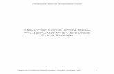 Hematopoietic Stem Cell Transplantation Course reading ...ilearn.kfshrc.edu.sa/ekp/nd/fresco/repository/EKP000049608.pdf · Hematopoiesis is the process of growth, division, and differentiation