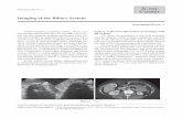 THAI J G 2016 Pantongrag-Brown L Vol. 17 No. 1 X-ray Cornerthaigastro.com/book/file/Thai-Journal-of-gastroenterology-vol-17-no-1...THAI J GASTROENTEROL 2016 Vol. 17 No. 1 Jan. - Apr.