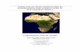 USING VALUE CHAIN APPROACHES IN AGRIBUSINESS AND ... · USING VALUE CHAIN APPROACHES IN AGRIBUSINESS AND AGRICULTURE IN SUB-SAHARAN AFRICA A METHODOLOGICAL GUIDE Tools That Make Value