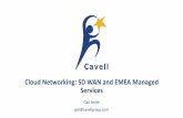 Cloud Networking: SD WAN and EMEA Managed Services fileCloud Networking: SD WAN and EMEA Managed Services Gail Smith gail@cavellgroup.com