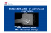Hollows for habitat – an overview and observations · 1 Hollows for habitat – an overview and observations Name: Antony von Chrismar Office of Environment & Heritage