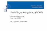 Self-Organizing Map (SOM) - uni- .Topological Maps in the Brain manipulation, facial expression,