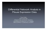 Differential Network Analysis in Mouse Expression Data · Differential Network Analysis in Mouse Expression Data Tova Fuller Steve Horvath Department of Human Genetics University