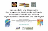 Nanomedizin und Biomimetik: Das spannende ... · Nanomedizin und Biomimetik: Das spannende Aufeinandertreffen der Lebenswissenschaften mit den Ingenieurswissenschaften und der Physik