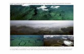 PAPUA NEW GUINEA EXPLORATION OF THE SEPIK AND … · Papua New Guinea. Unlike many other large rivers, the Sepik has no delta whatsoever, Unlike many other large rivers, the Sepik