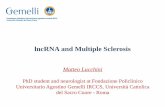 lncRNA and Multiple Sclerosis - mondino.it · lncRNA and Multiple Sclerosis Matteo Lucchini PhD student and neurologist at Fondazione Policlinico Universitario Agostino Gemelli IRCCS,