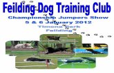 Welcome to the Feilding Dog Training Club · Welcome to the Feilding Dog Training Club Championship 5 x Jumpers event. Big thank you to our wonderful sponsors Butch for their support