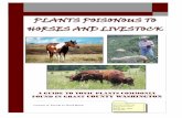 Plants Poisonous to Horses and Livestock · County that are poisonous to horses and livestock. To protect your animals from To protect your animals from poisoning, learn to identify