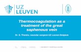 Thermocoagulation as a treatment of the great saphenous vein · Thermocoagulation as a treatment of the great saphenous vein Dr. S. Thomis, vascular surgeon UZ Leuven Belgium