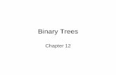Binary Trees - cs.stonybrook.educse214/lecture_slides/unit6.pdf · Fundamentals • A binary tree is a nonlinear data structure. • A binary tree is either empty or it contains a