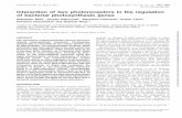 Interaction of two photoreceptors in the regulation of ...geb.uni-giessen.de/geb/volltexte/2012/8691/pdf/10.1093_nar_gks243.pdf · Interaction of two photoreceptors in the regulation