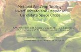 Pick and Eat Crop Testing: Dwarf Tomato and Pepper as ... · Objective •The intent of these studies was to compare tomato and pepper cultivars that have short stature, high yields,