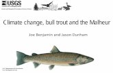 Climate change, bull trout and the Malheur Workshop/JBenjamin... · Climate change, bull trout and the Malheur Joe Benjamin and Jason Dunham U.S. Department of the Interior U.S. Geological