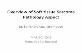 Overview of Soft tissue Sarcoma Pathology Aspect fileOverview of Soft tissue Sarcoma Pathology Aspect Dr. Sorranart Muangsomboon. MAR 30, 2019. Ramathibodi hospital