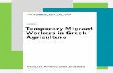 Temporary Migrant Workers in Greek Agriculture · Temporary Migrant Workers in Greek Agriculture by Apostolos G. Papadopoulos and Loukia-Maria Fratsea Contents 1 Introduction 3 2
