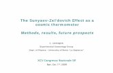 The Sunyaev-Zel’dovich Effect as a cosmic thermometerstatic.sif.it/SIF/resources/public/files/congr09/mc/lamagna.pdf · The Sunyaev-Zel’dovich Effect as a cosmic thermometer Methods,